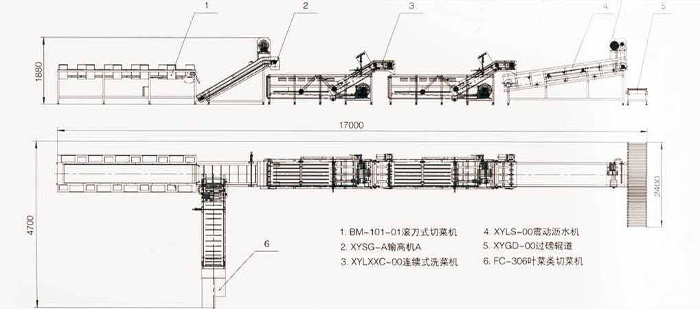 0000-全自動連續式葉菜類清洗線-2.jpg